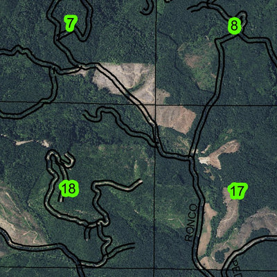 Bald Mountain T9N R7W Township Map Preview 3
