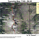 North Sister T16S R8.5E Township Map Preview 1