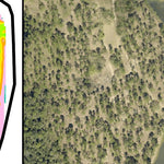 Fort Stewart Pond 17 Daisy Preview 3