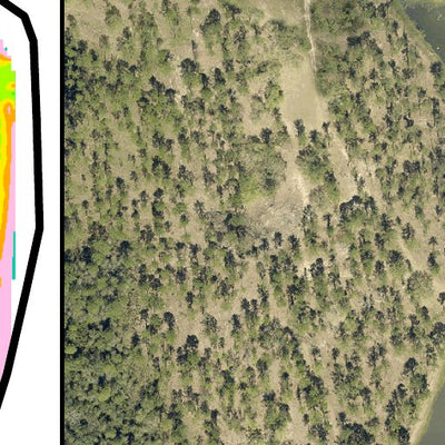 Fort Stewart Pond 17 Daisy Preview 3