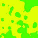 Fort Stewart Pond 19 Evan's Field East Preview 2