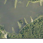 Fort Stewart Pond 28 Dogwood Preview 3