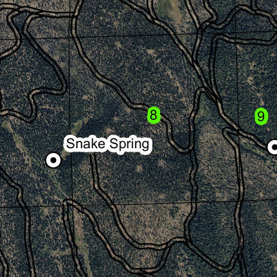 Big Baldy T37S R19E Township Map Preview 3