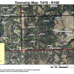 Brushy Mountain T41S R16E Township Map Preview 1