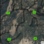 Dog Lake T40S R17E Township Map Preview 3