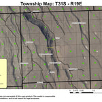 Sharp Top T31S R19E Township Map Preview 1