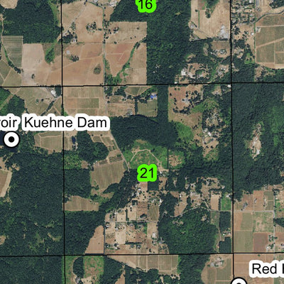 Dundee T3S R3W Township Map Preview 2
