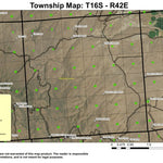 Poison Creek T16S R42E Township Map Preview 1