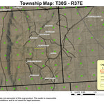 Ryegrass Butte T30S R37E Township Map Preview 1