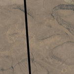 Rock Creek Reservoir T31S R44E Township Map Preview 3