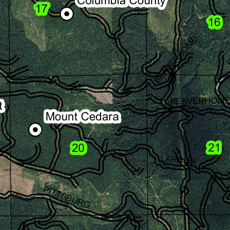 Cedara Map Scale Mount Cedara T5N R3W Township Map by Super See Services | Avenza Maps