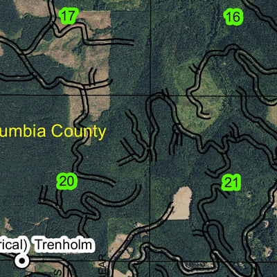 Trenholm T5N R2W Township Map Preview 2