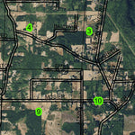 Delena T7N R3W Township Map Preview 3