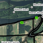 Wallace Island T8N R5W Township Map Preview 2