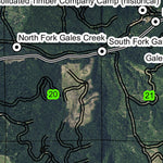 Glenwood T2N R5W Township Map Preview 2
