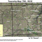 Twickenham T9S R21E Township Map Preview 1