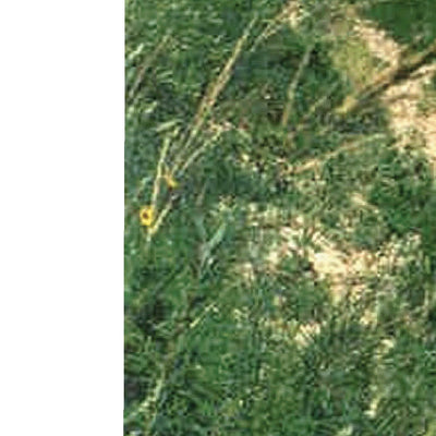 Little Missouri NG - Medora RD 2013 Preview 3