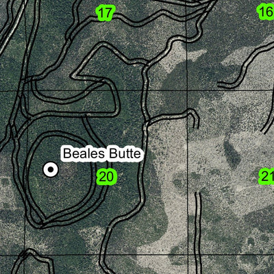 Mowich T25S R7E Township Map Preview 2