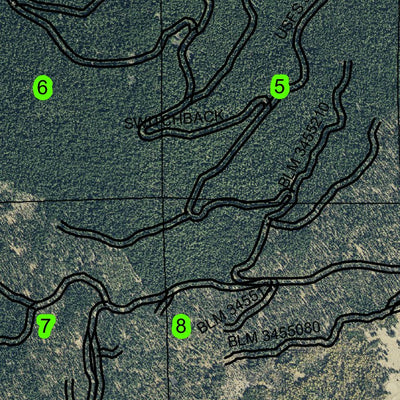 Pelican Bay T36S R6E Township Map Preview 3