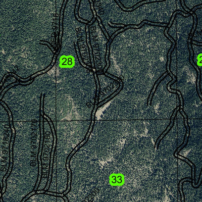 Swan Lake T36S R8E Township Map Preview 3