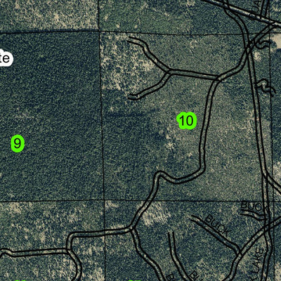 Surveyor Mountain T38S R5E Township Map Preview 3