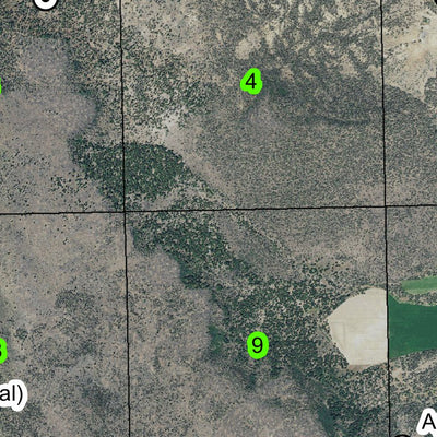 Dairy T38S R11.5E Township Map Preview 3