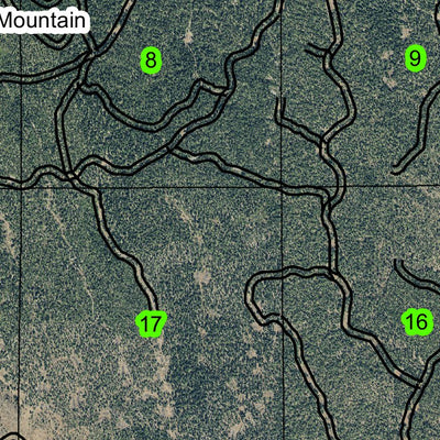 Grizzly Flat T41S R5E Township Map Preview 3