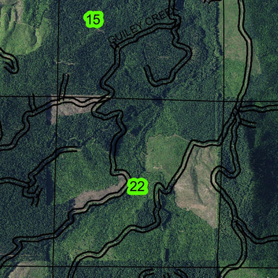 Buckhorn Mountain T20S R1W Township Map Preview 3