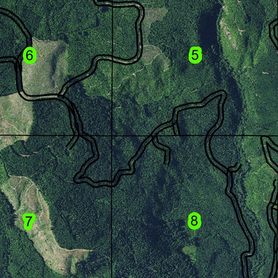 Leaburg T17S R1E Township Map Preview 3