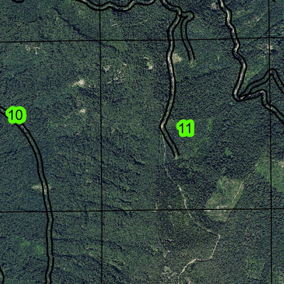 Cupit Mary Mountain T21S R5.5E Township Map Preview 3