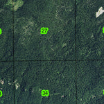 Wildcat Swamp T18S R6.5E Township Map Preview 3