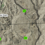 Currant Creek T8S R1E Township Map Preview 3
