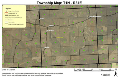 Burroughs T1N R31E Township Map Preview 1