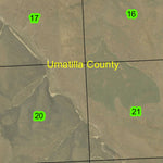 Burroughs T1N R31E Township Map Preview 2