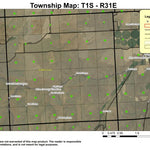 Nye T1S R31E Township Map Preview 1