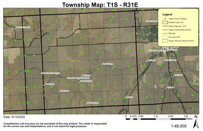 Nye T1S R31E Township Map Preview 1