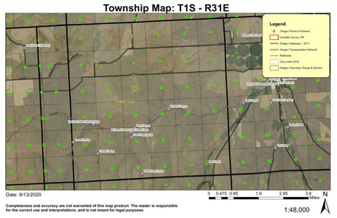 Nye T1S R31E Township Map Preview 1