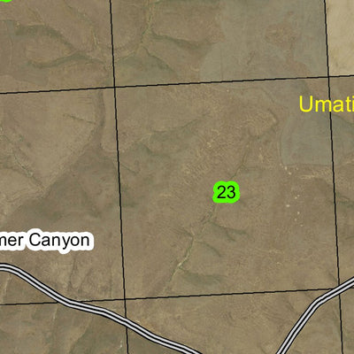 Vinson T1S R30E Township Map Preview 2