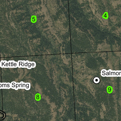 Blue Kettle Ridge T2S R35E Township Map Preview 3