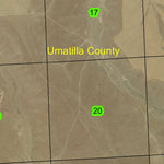 Alkali Canyon T2N R29E Township Map Preview 2