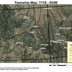 Bald Mountain T11S R39E Township Map Preview 1