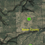 Bald Mountain T11S R39E Township Map Preview 3