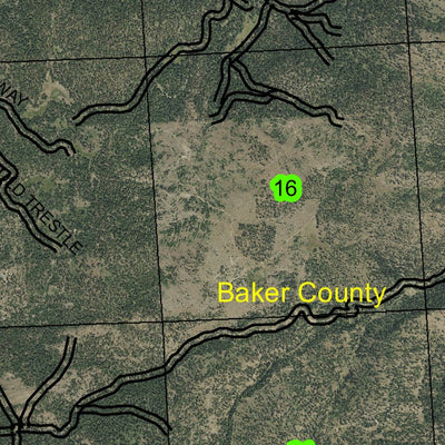 Bald Mountain T11S R39E Township Map Preview 3