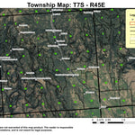 Carson T7S R45E Township Map Preview 1