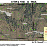 Ritter T8S R30E Township Map Preview 1