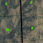 Ritter T8S R30E Township Map Preview 3