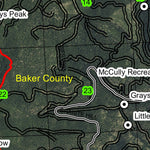 Gold Center Meadow T9S R36E Township Map Preview 2