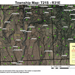 Devine Monument T21S R31E Township Map Preview 1