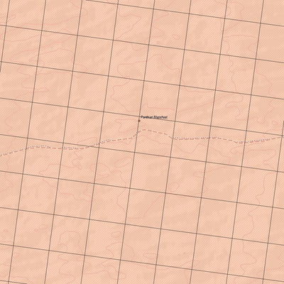 Getlost Map 5338 DELISSER Topographic Map V14d 1:75,000 Preview 3