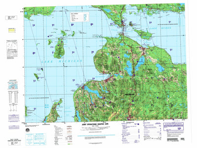 Cheboygan, 1999, 1st edition of JOG Air NL-16-9 at 250000 scale Preview 1